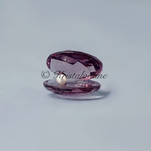 Swarovski Kristal | Silver Crystal | Waterwereld | PWP - Schelpje met Parel - Violet - CLW FW19 | 5526147